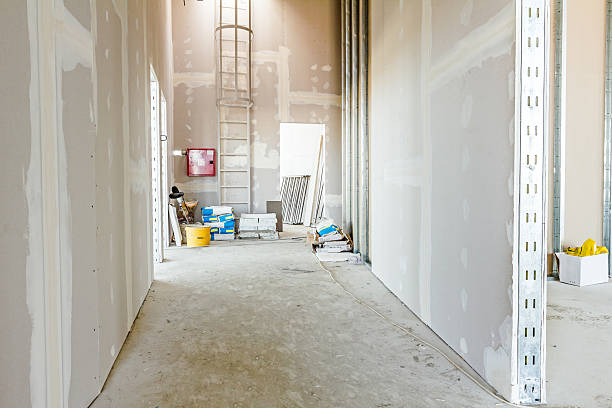 Best Real Estate Mold Inspection  in Mountain View Ranches, AZ